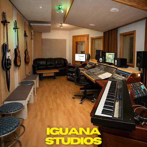 Iguana Studios