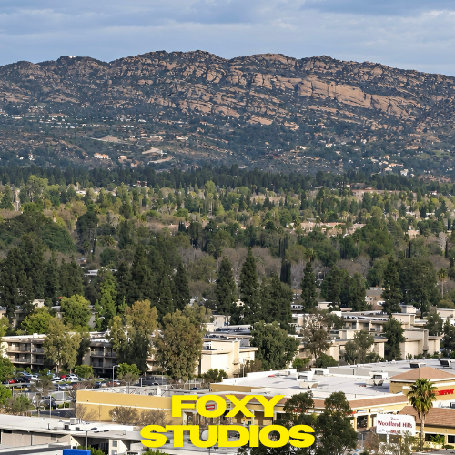 Foxy Studios