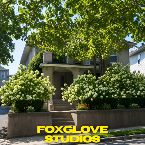 Foxglove Studios
