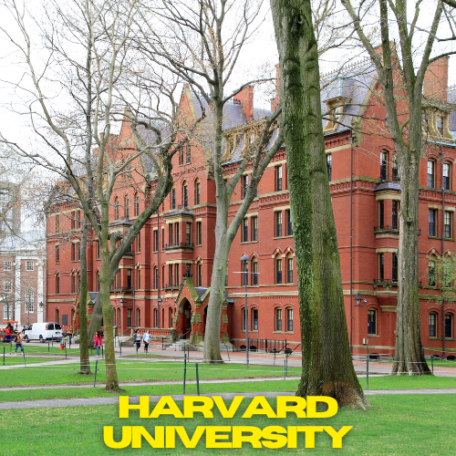Harvard University