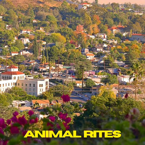 Animal Rites