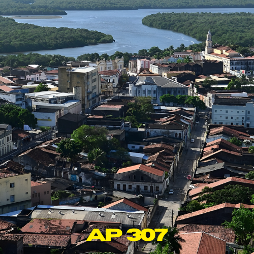 AP 307