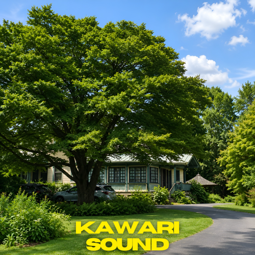 Kawari Sound