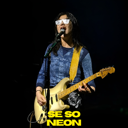 SE SO NEON