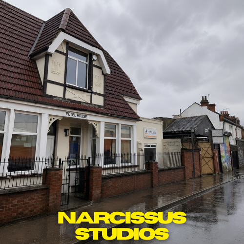 Narcissus Studio