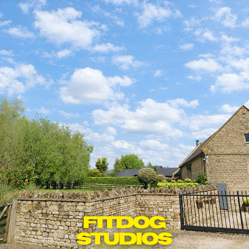 Fitdog Studios
