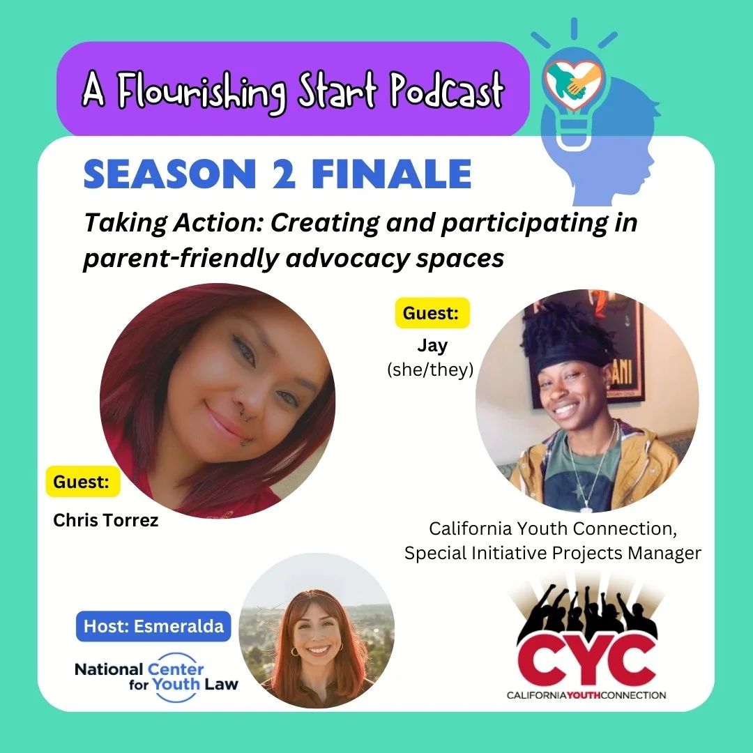S2E4: Taking Action: Creating and participating in parent-friendly advocacy spaces
