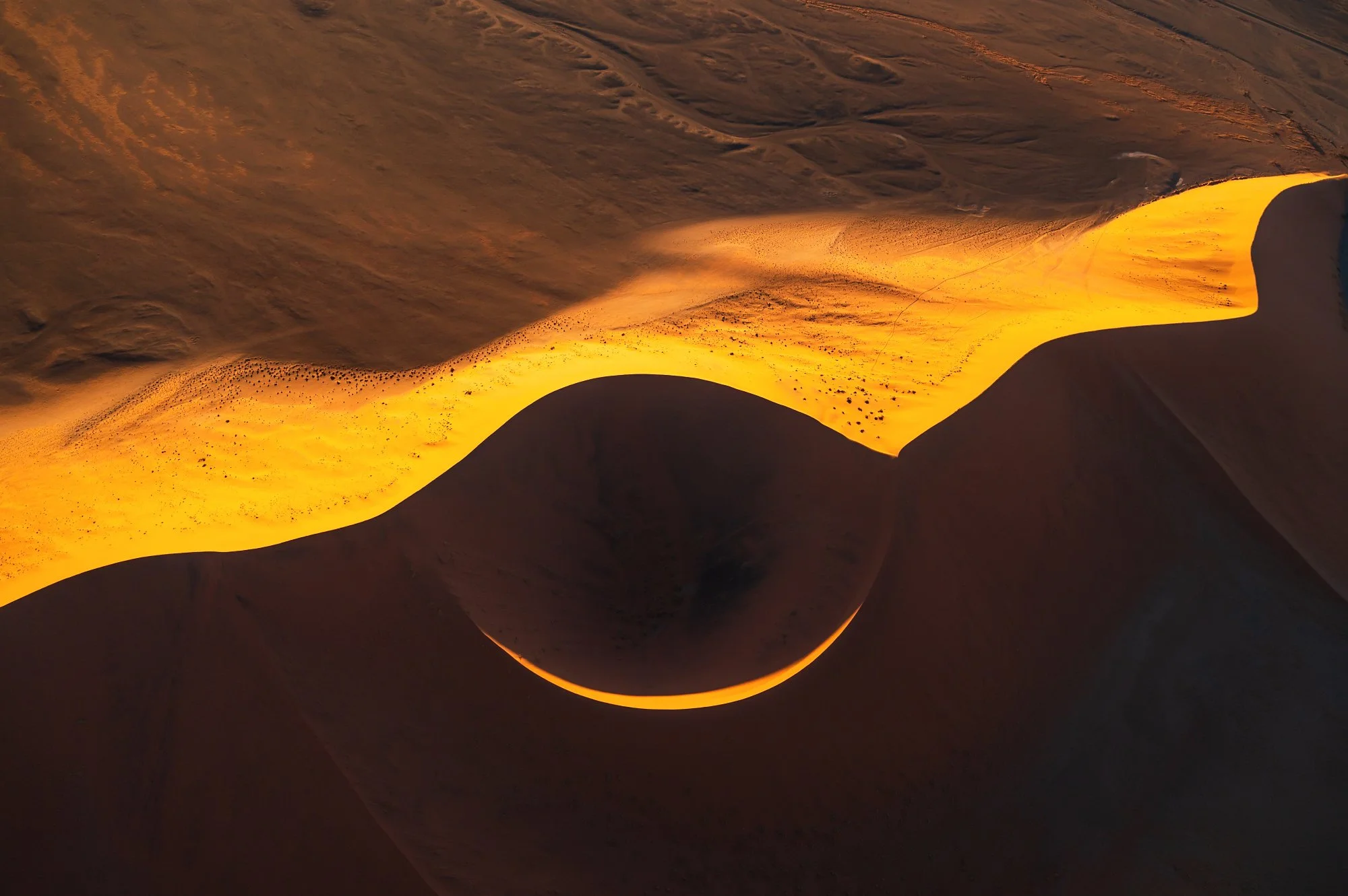Golden desert dunes in Namibia photographed during a premium photo expedition, showing light, shadow and abstract dune shapes.