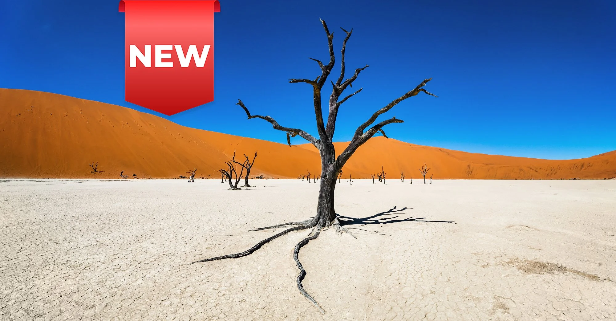 Deadvlei desert in Namibia with dead camelthorn trees and orange sand dunes, photographed during the Namibia Desert & Dunes Photo Expedition 2027 led by Jan Šmíd, Master QEP.