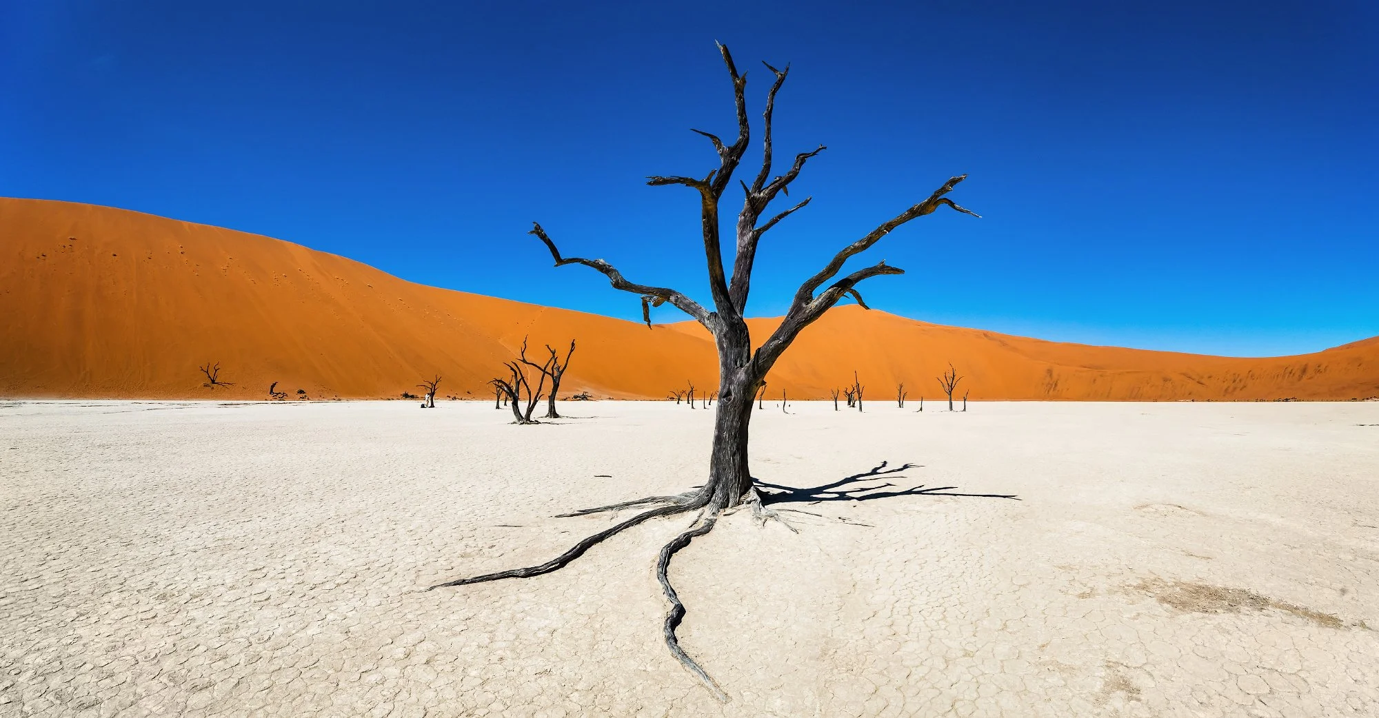 🇳🇦 Why Namibia Is One of the Most Demanding Photography Destinations on Earth