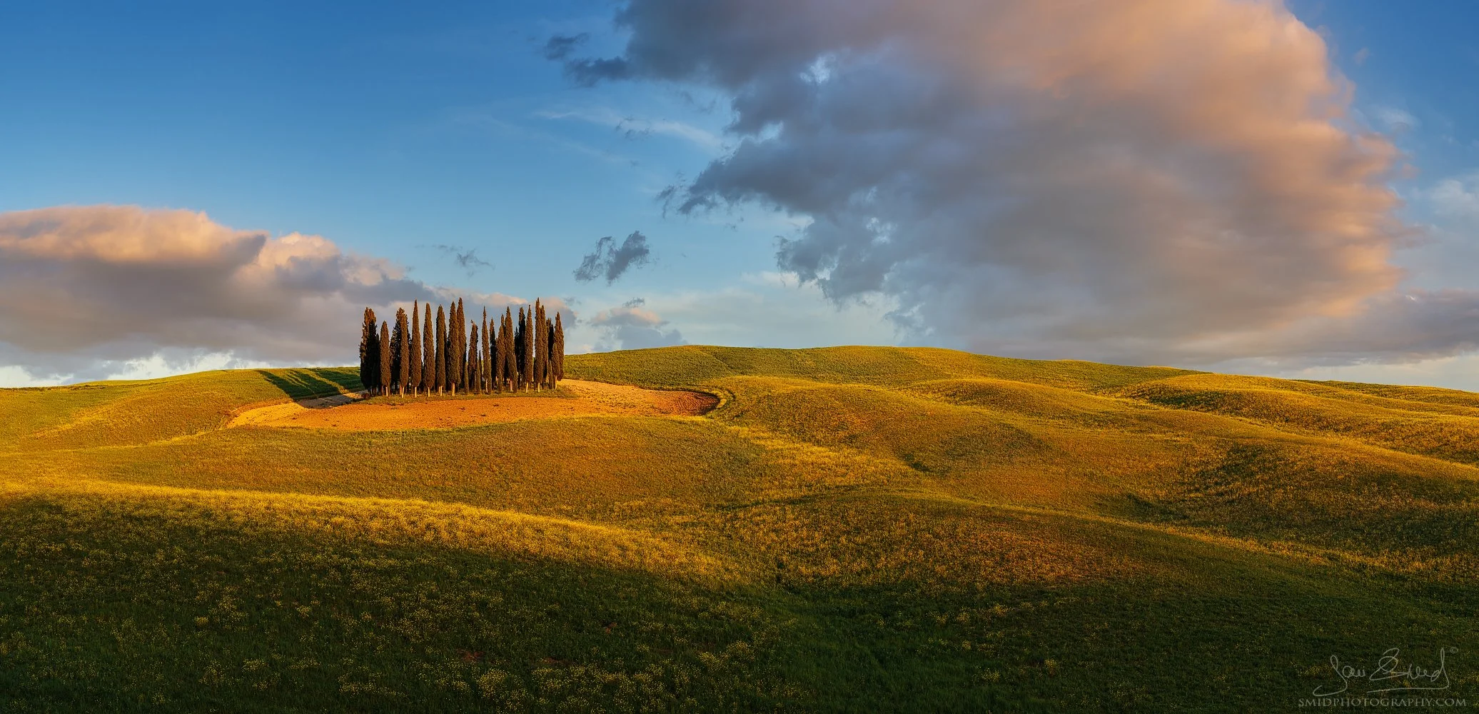 Cypress Oasis: 2023 sunset panorama of the San Quirico d'Orcia cypress grove. Masterpiece by Jan Smid, Master QEP, scouting Tuscany since 2017.