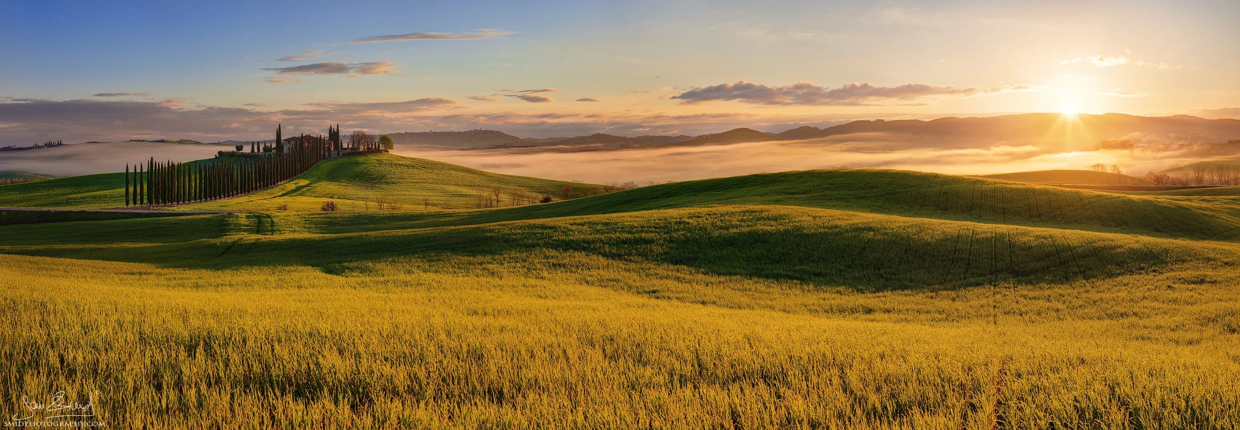 The Green Gold of Tuscany: 2022 sunrise panorama of Poggio Covili cypress alley with sunstar. Expertly captured by Jan Smid, Master QEP.