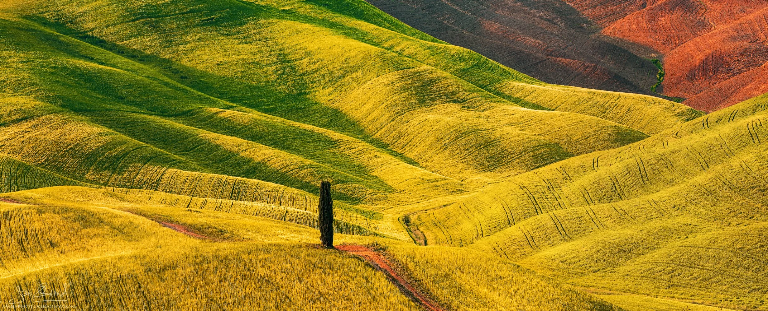 The Lonely Wanderer: 2018 sunset panorama of a solitary cypress in the rolling hills of Val d'Orcia. A 6-frame masterpiece by Jan Smid, Master QEP, since 2017.