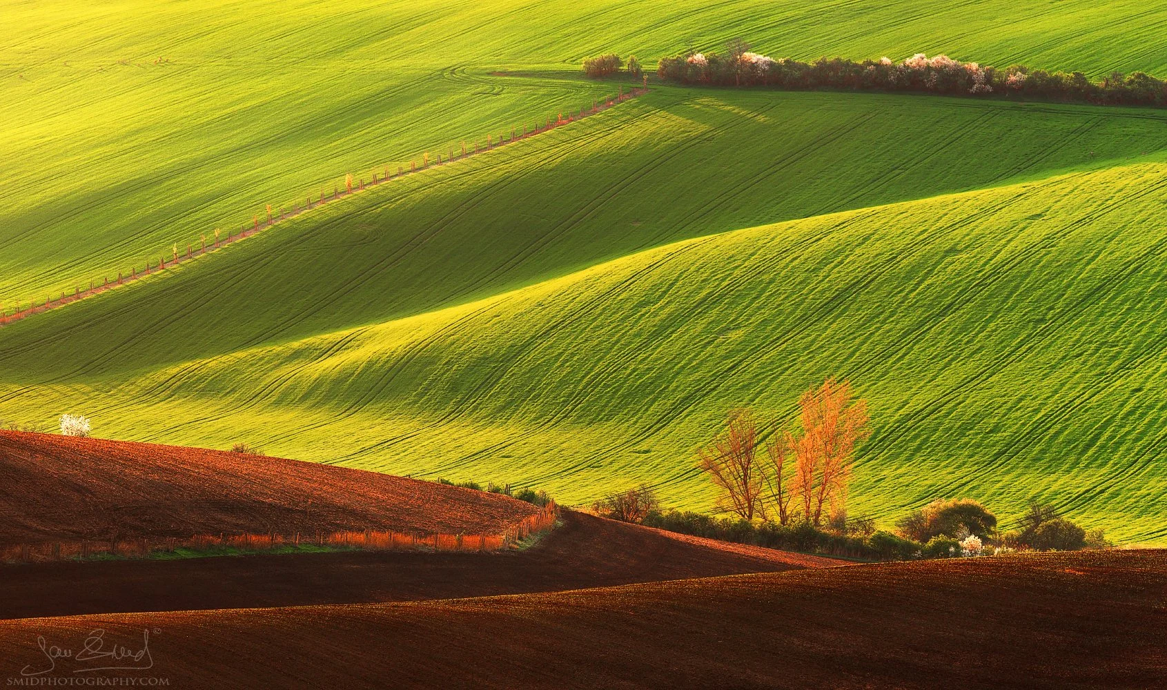 Telephoto landscape of rolling green hills in South Moravia, known as Moravian Tuscany, with a herd of deers by Jan Smid, Master QEP.