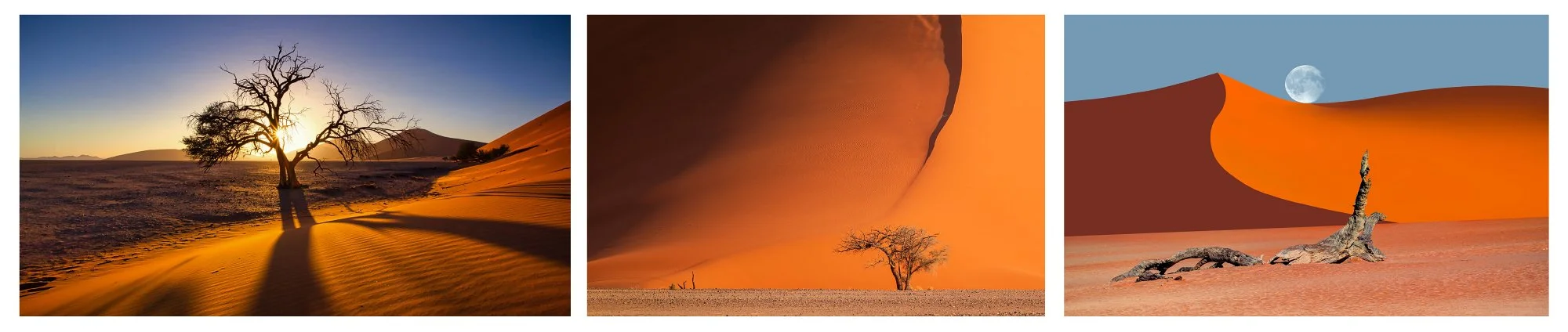 Mosaic of Deadvlei desert scenes in Namibia showing dunes, trees and light at sunrise and moonrise, photographed during a Namibia photo expedition.