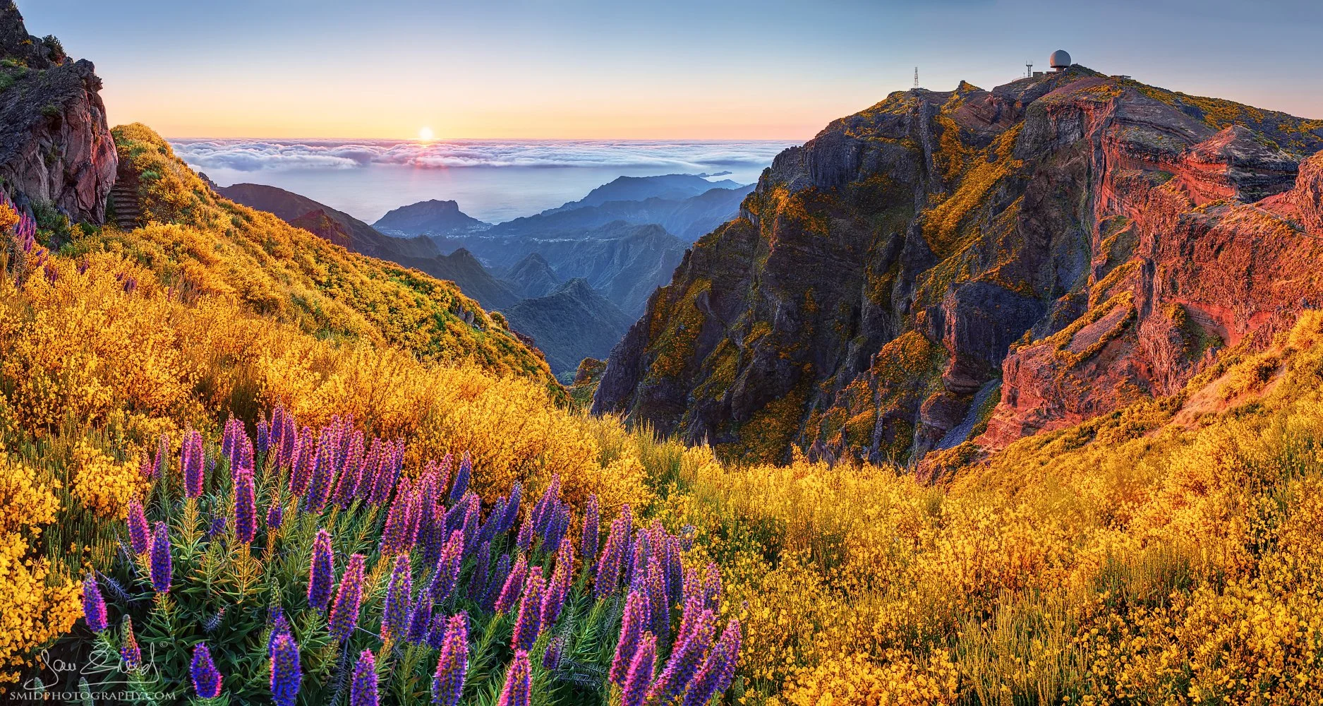 Panoramic landscape photograph "Flowers over the Precipice" featuring blooming mountain flora on a cliff edge at Pico do Arieiro, Madeira, during a golden sunrise. Captured by Jan Smid, Master QEP, during a 2019 photography expedition.