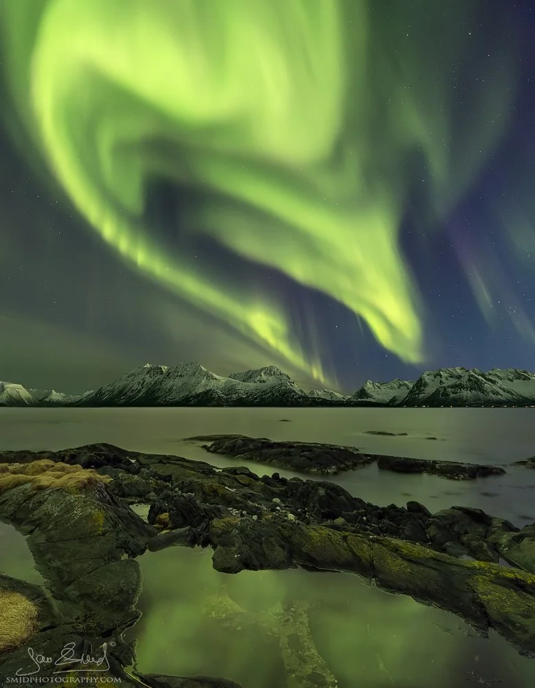 Multi-award-winning panoramic photograph "Alien's Head" featuring the Aurora Borealis over Lofoten mountains. Captured by Jan Smid, Master QEP, during a 2016 expedition.