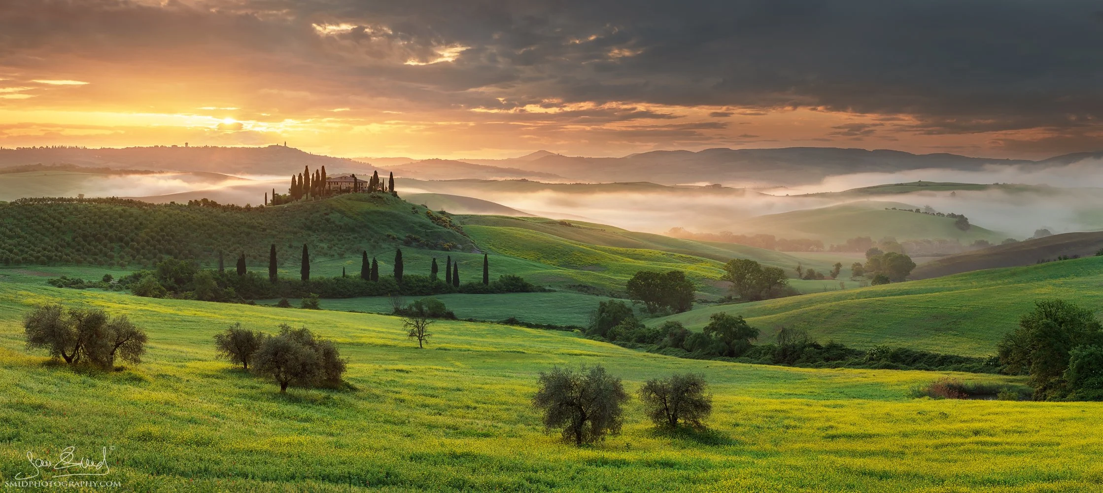 Award-winning sunrise view of the iconic Belvedere cypress grove in Tuscany. Landscape captured by Jan Smid Master QEP.