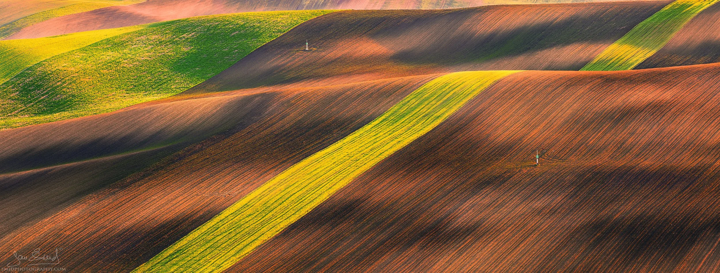 Telephoto landscape photography of solitary trees in the rolling fields of South Moravia, titled Near by Plugs, by Jan Smid, Master QEP. Moravian Tuscany 2019.
