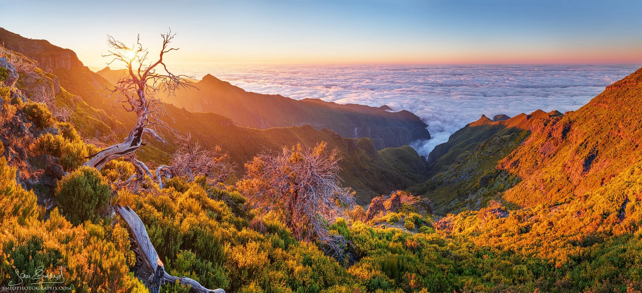 Award-winning panoramic landscape photograph "At the End of the World" capturing the dramatic, jagged volcanic cliffs of Madeira at sunset. Captured by Jan Smid, Master QEP, during a 2019 photography expedition.