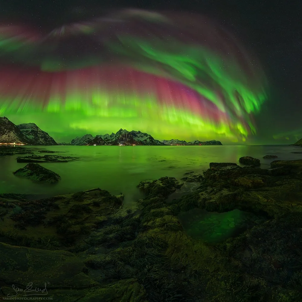 Square night panorama of intense yellow-green-red aurora over arctic seascape in Lofoten, captured during February photo expedition led by Jan Smid, Master QEP