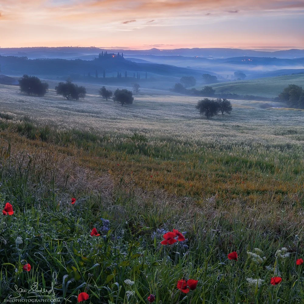 Belvedere in Sight: 2017 sunrise panorama of Val d'Orcia. Jan Smid, Master QEP, has been scouting unique Tuscany vantage points for over a decade.