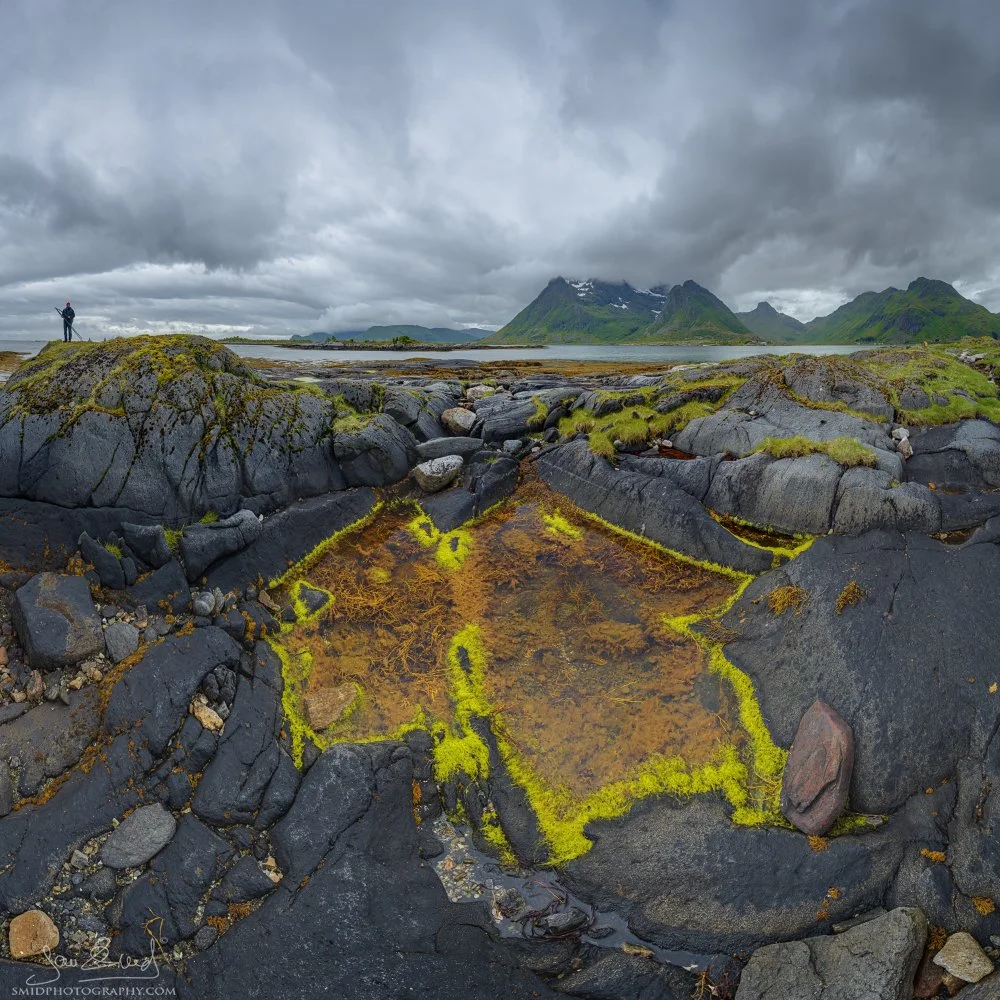 A high-detail panoramic photograph taken during our highly successful June 2025 Group Photo Expedition to the Lofoten Islands, featuring vibrant green algae at a secret location.