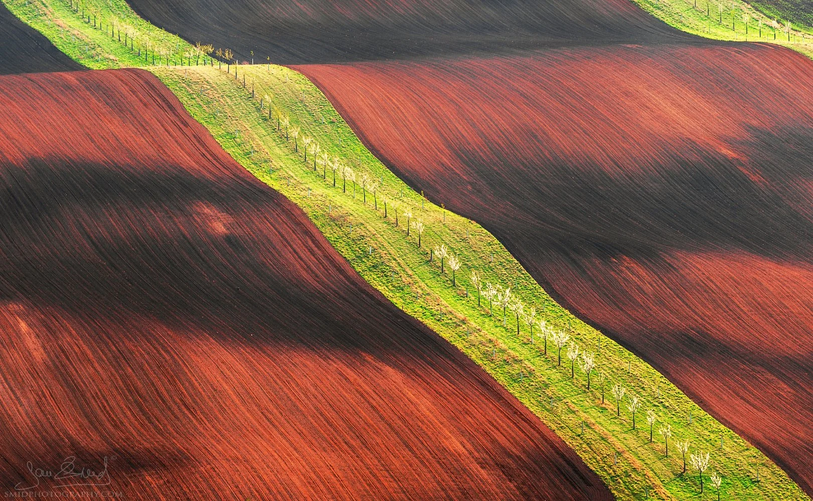 Award-winning telephoto landscape titled Waterslide, showing a unique field formation in South Moravia by Jan Smid, Master QEP. Part of Moravian Tuscany