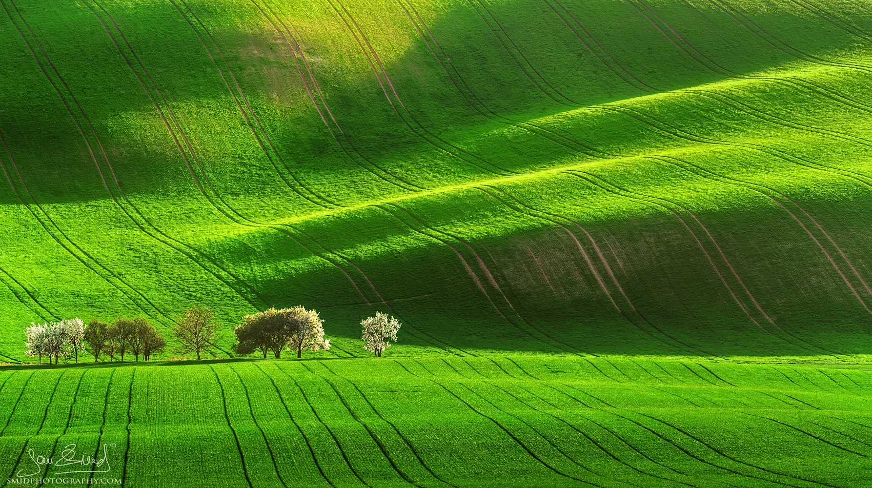 Award-winning telephoto landscape of rolling fields in South Moravia, titled The Castling, by Jan Smid, Master QEP. Part of the Moravian Tuscany series.