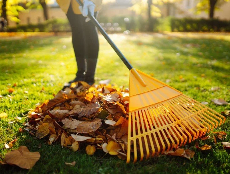 Raking; feed the soul.