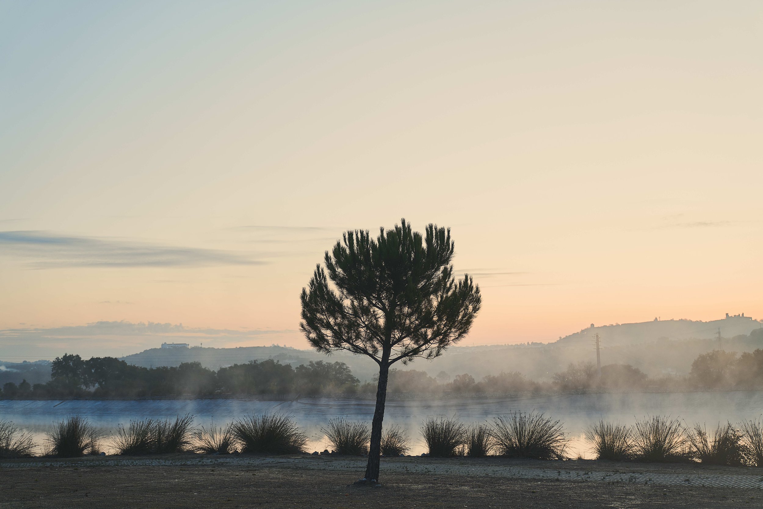 CV_01222.jpg