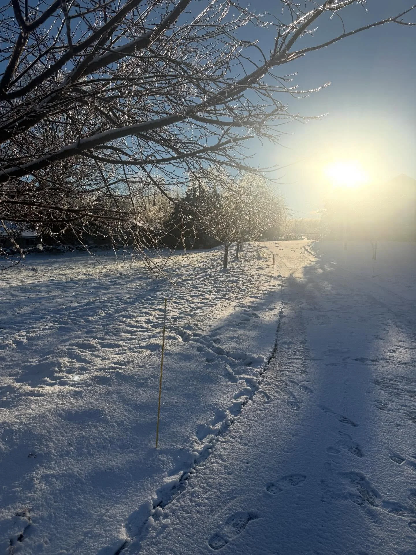 On this chilly day, remember, in case you think being wary of government overreach and the security state is some newfangled thing, the Church Committee in 1975 has some words. If you&rsquo;re short for time, start at 1.25.
https://youtu.be/YAG1N4a84