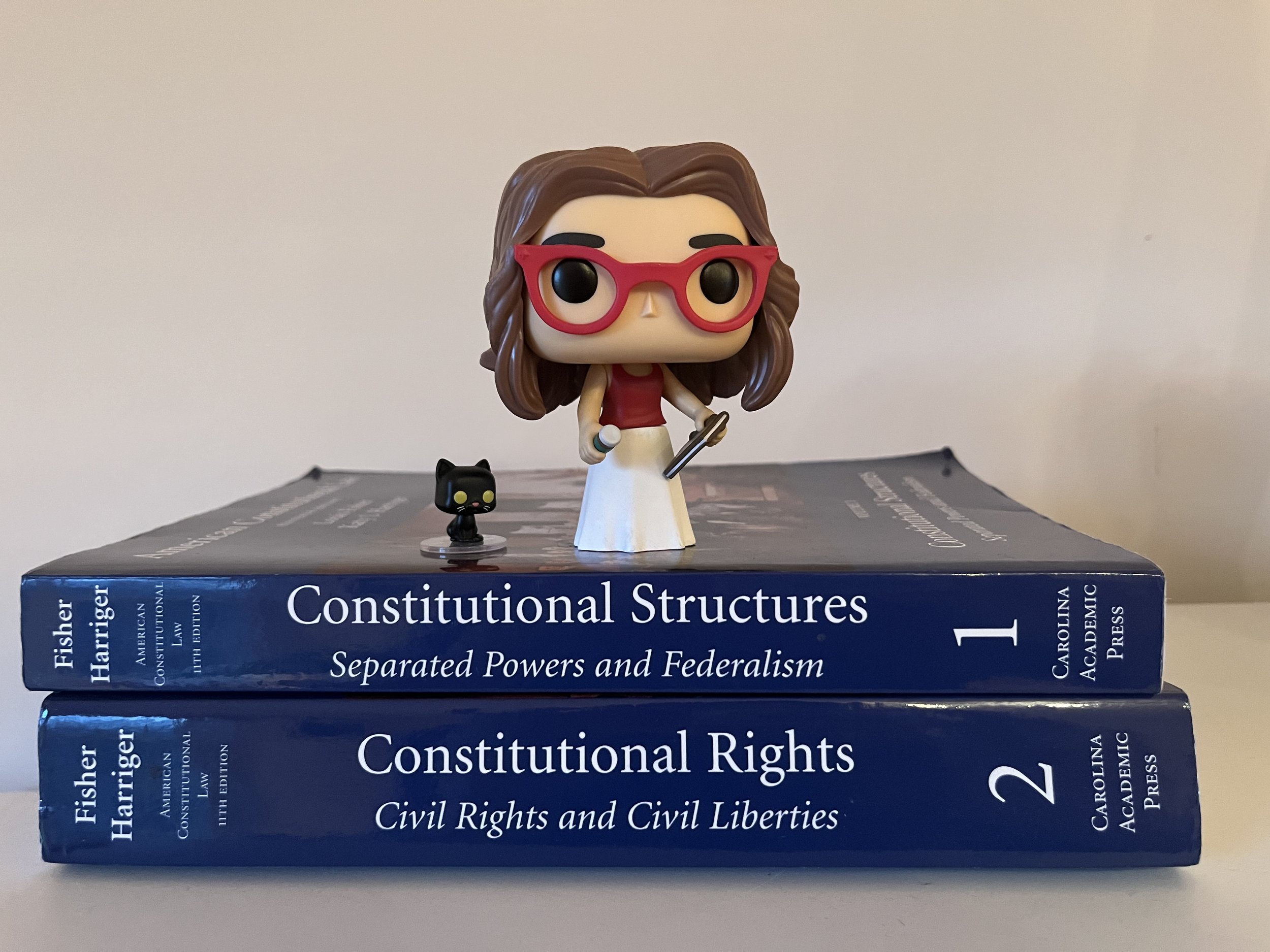 constitutional law pop.JPG