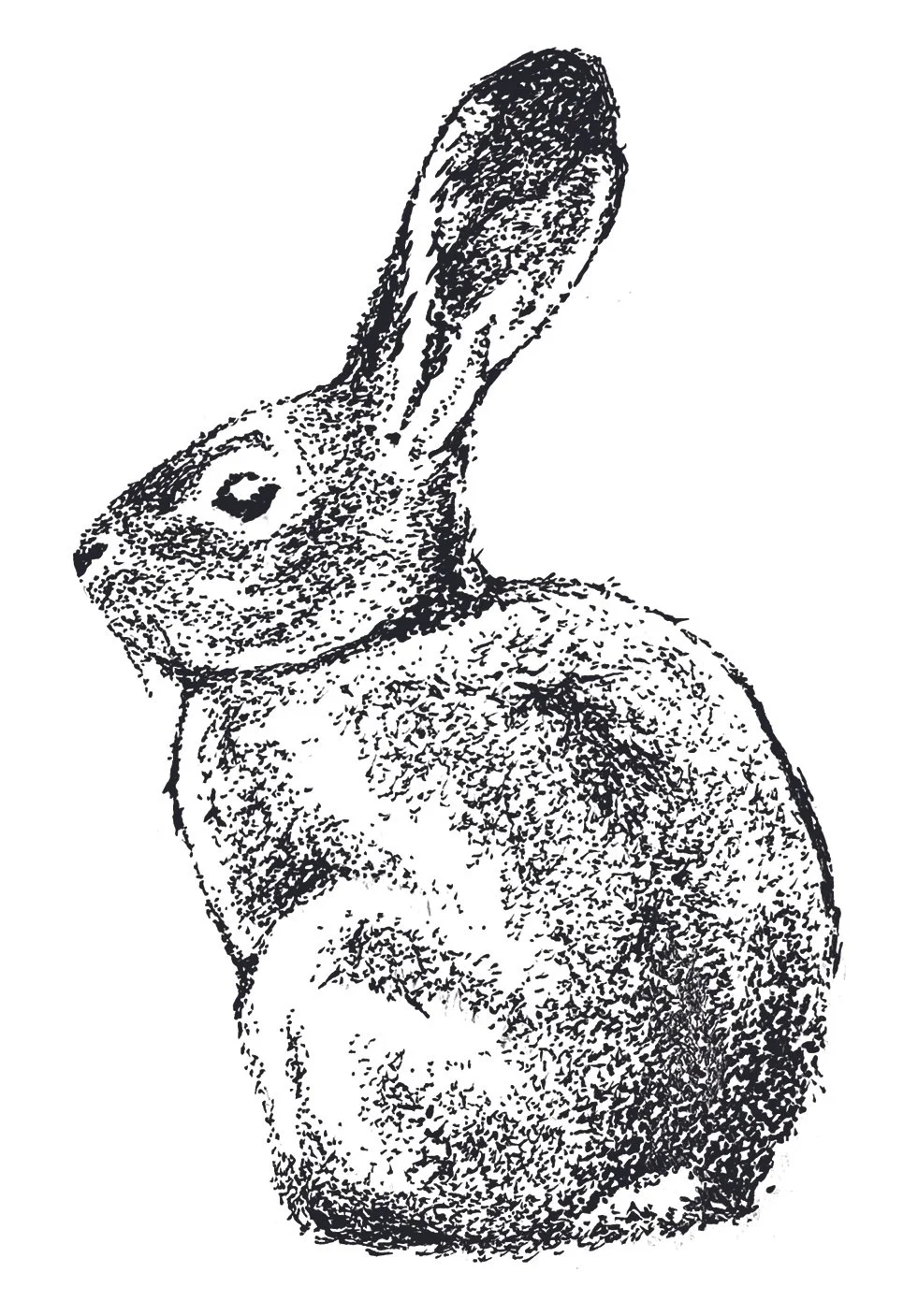 118. Rabbit. 5+ inches. $350.