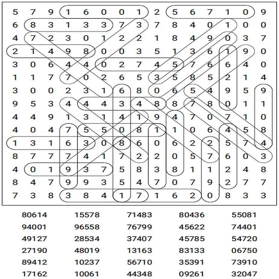 Example of a Number Search solution