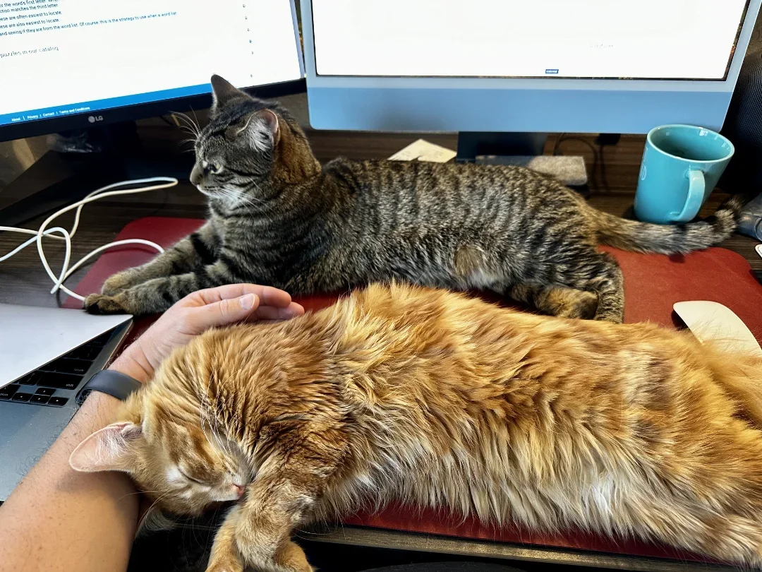 The team hard at work.