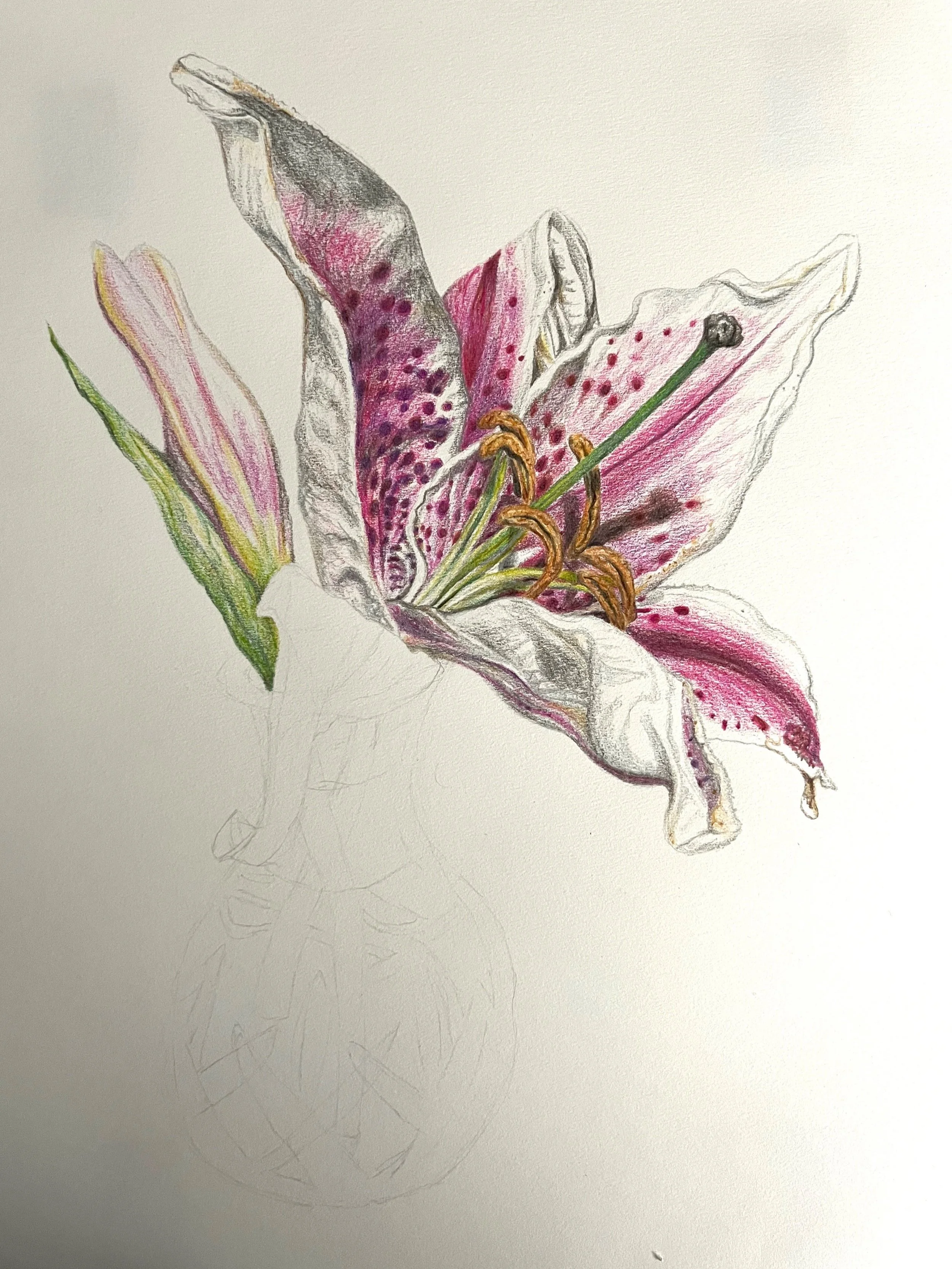 Lillies 3.jpg