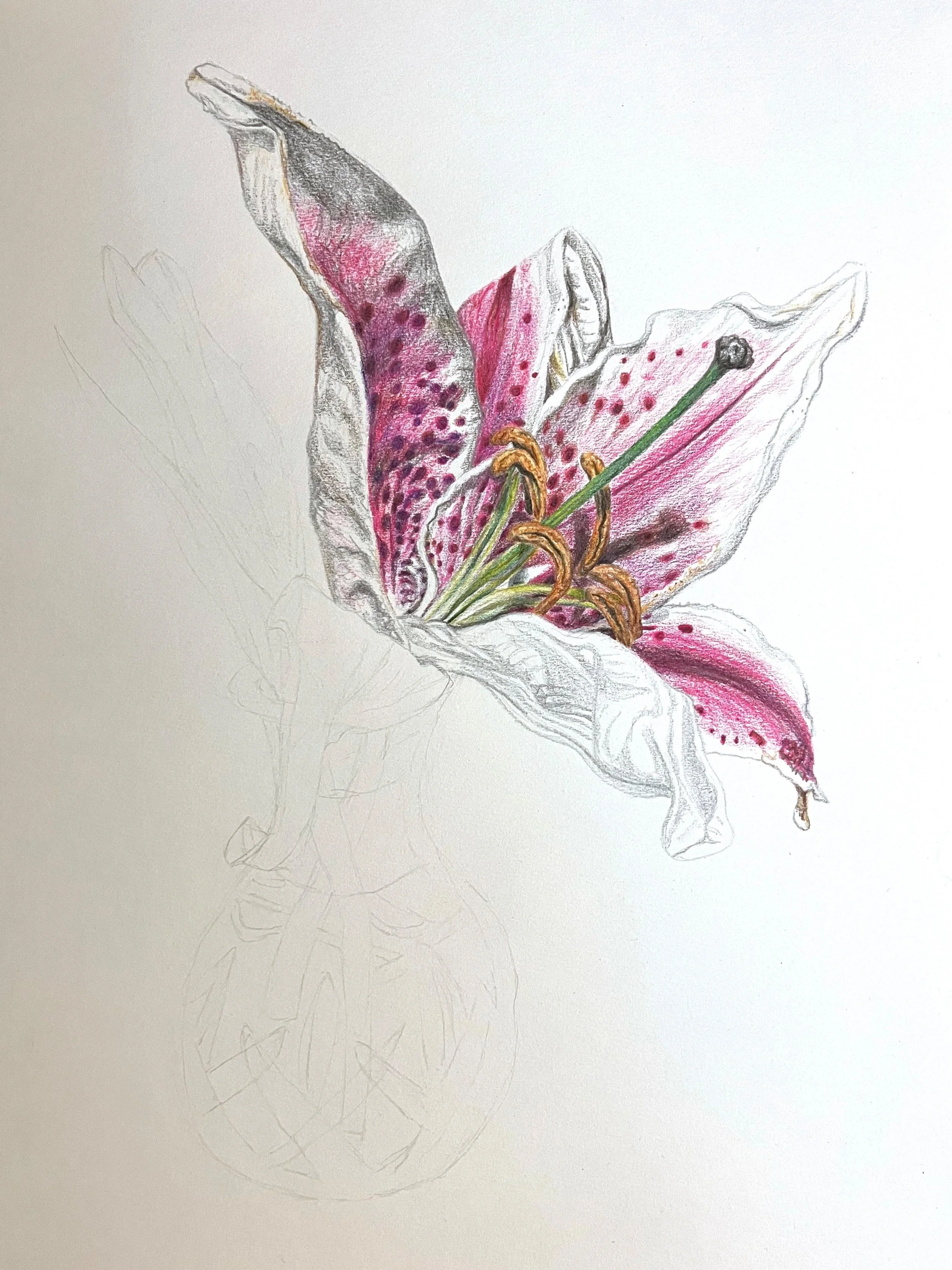 Lillies 2.jpg