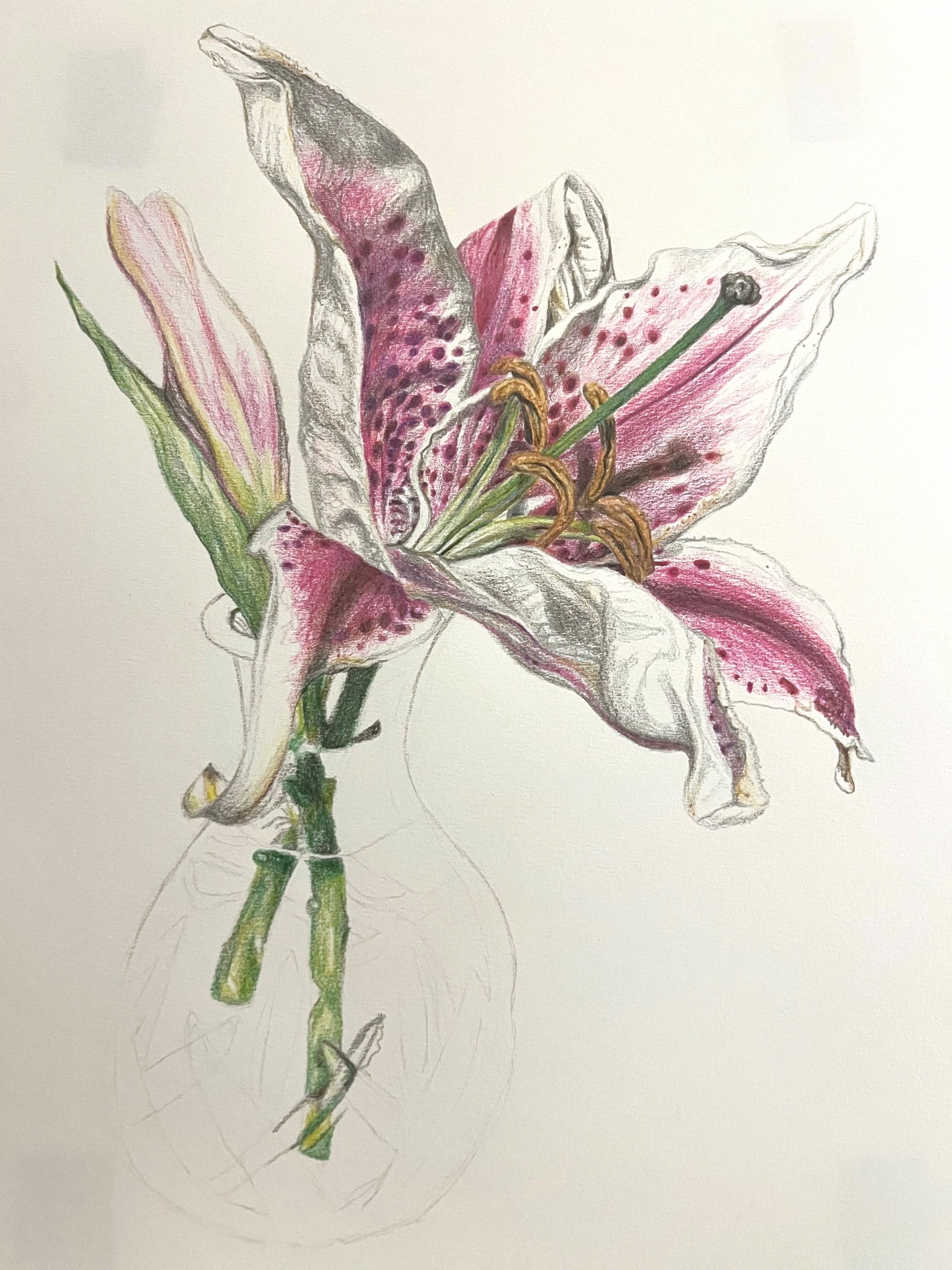 Lillies 4.jpg