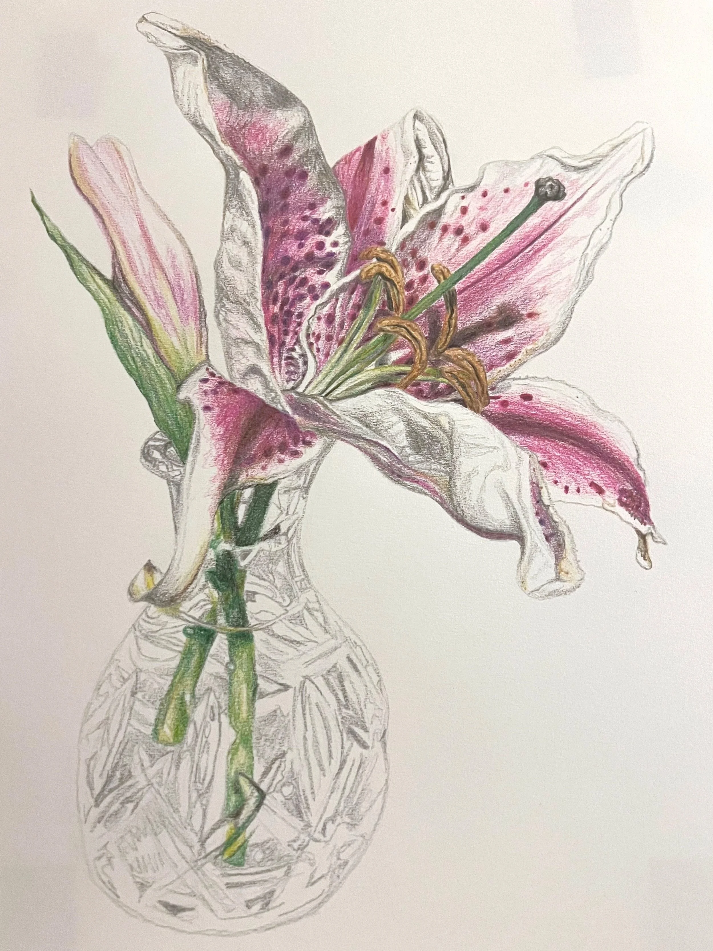Lillies 5.jpg