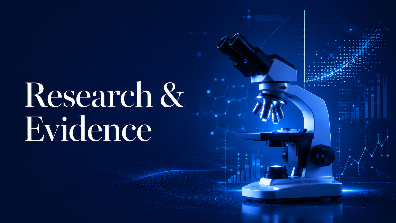 Research and Evidence at Alexander International Innovations