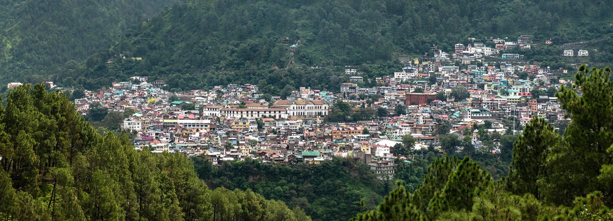 Die Stadt Chamba am Hang, umgeben von Pinienwald, Himachal Pradesh