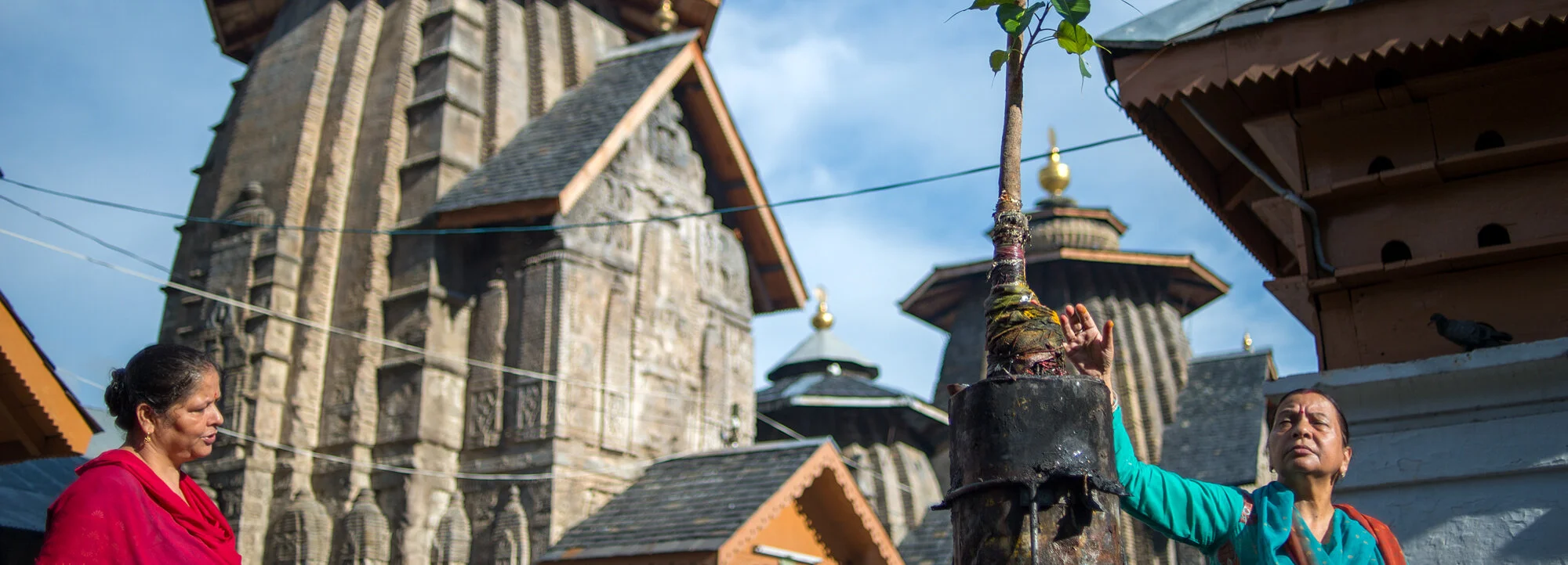 Frau berührt einen Pipalbaum am Laxmi-Narayana-Tempel in Chamba, Himachal Pradesh