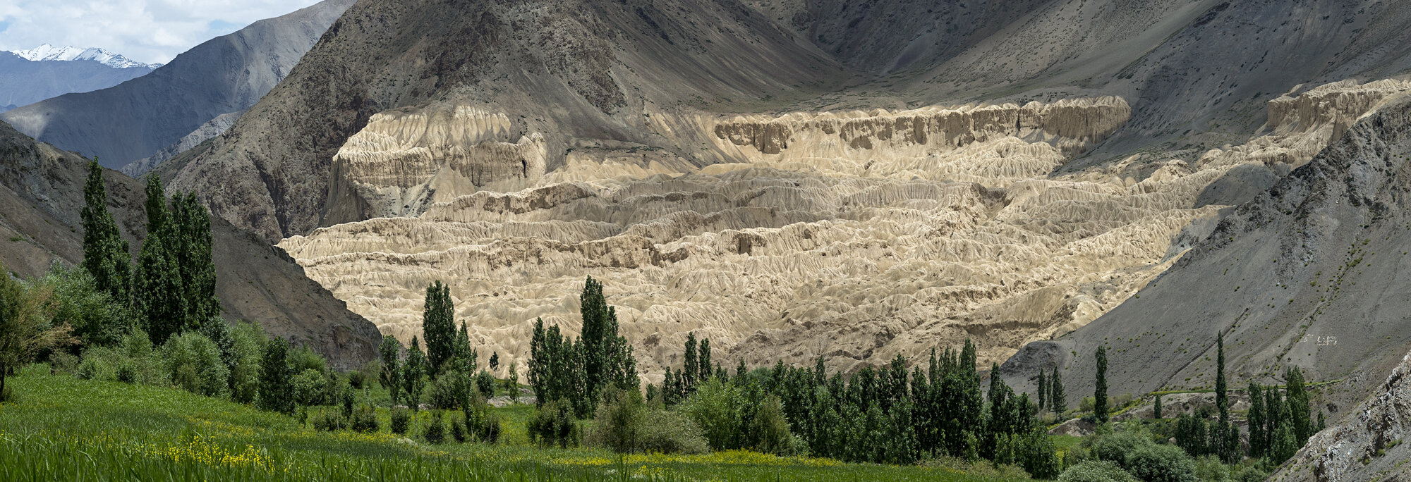 Die Mondlandschaft von Lamayuru über den Pappeln und Feldern des Dorfes, Ladakh