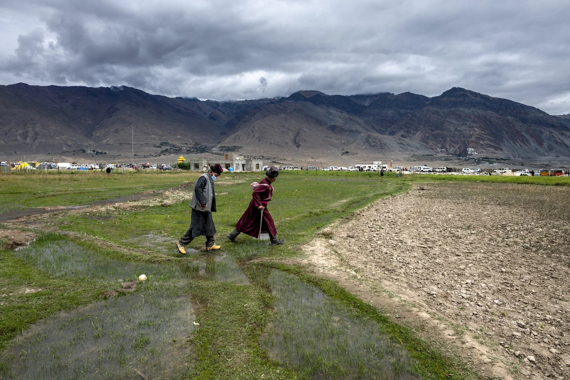 Männer auf dem Weg zu einem Fest durch die Felder bei Padum, Zanskar