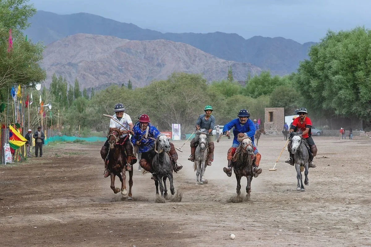 Polospiel in Chushot bei Leh: Reiter galoppieren mit erhobenen Schlägern über den staubigen Platz, Ladakh