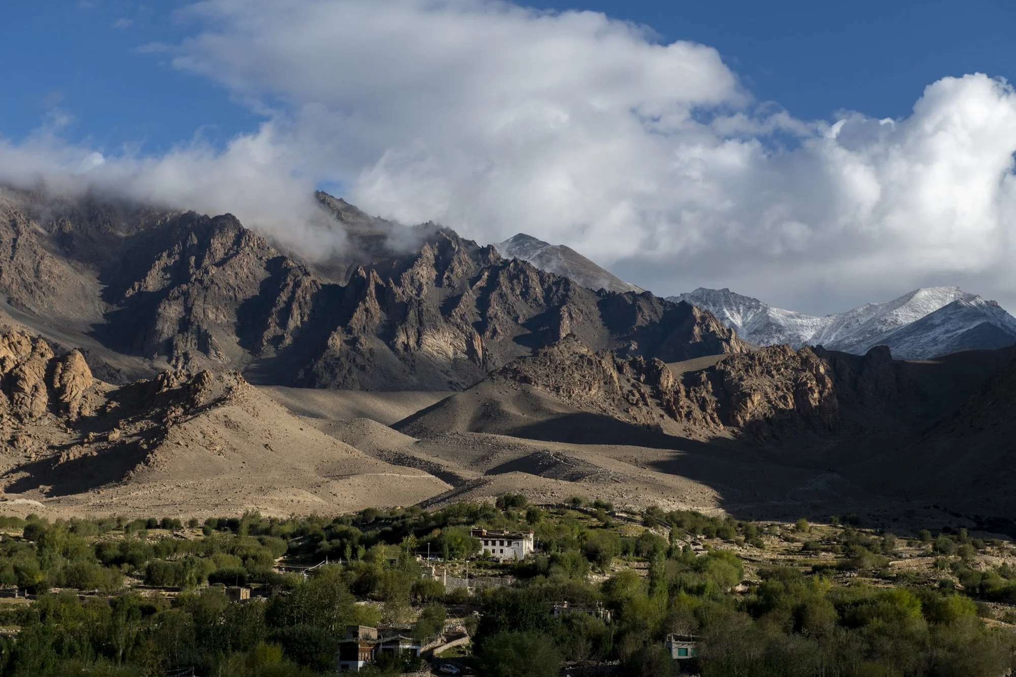 Das grüne Dorf Hemis Shukpachen unter kahlen Felsgraten und Schneegipfeln, Ladakh