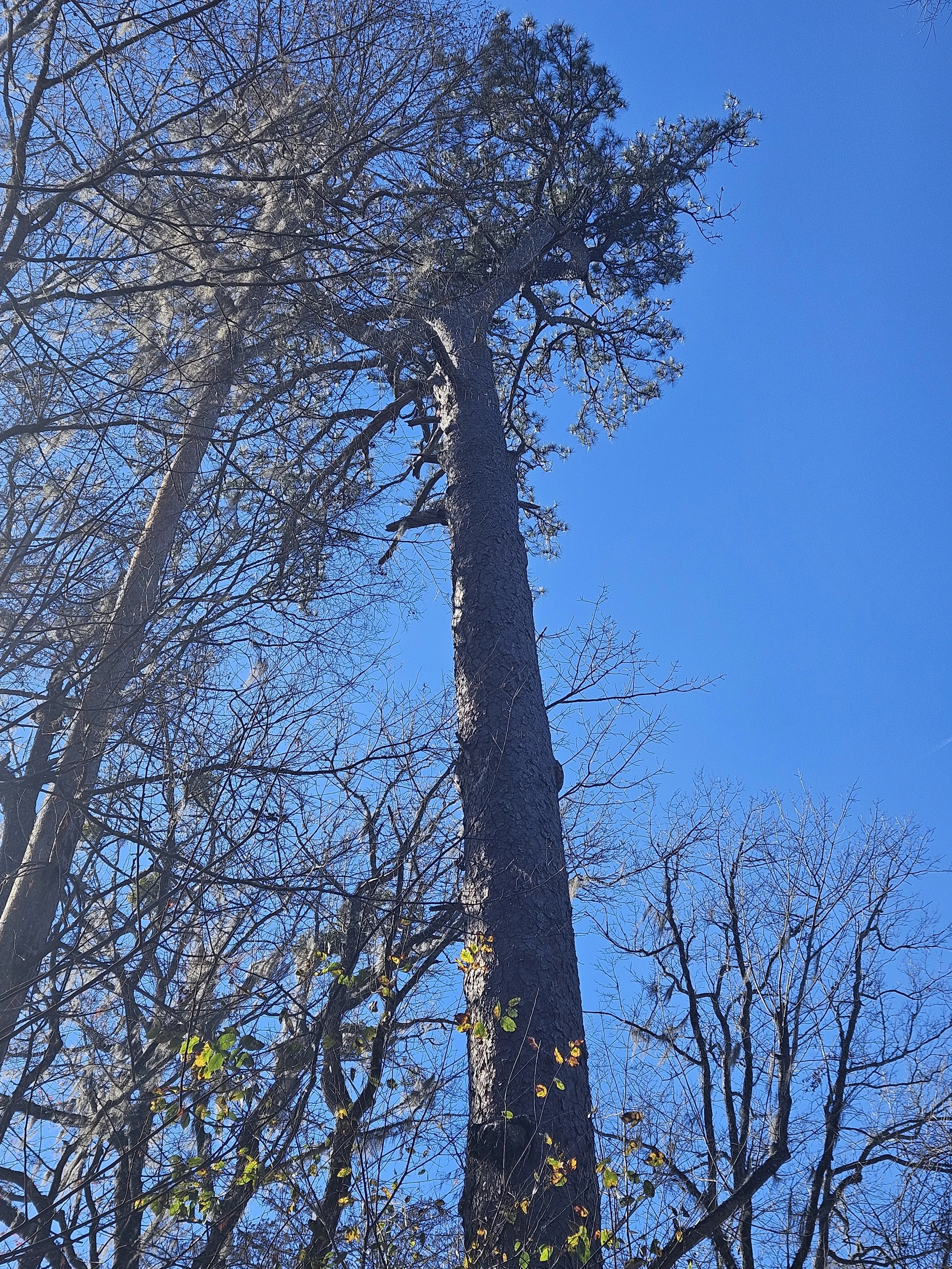 20231212_123019.jpg