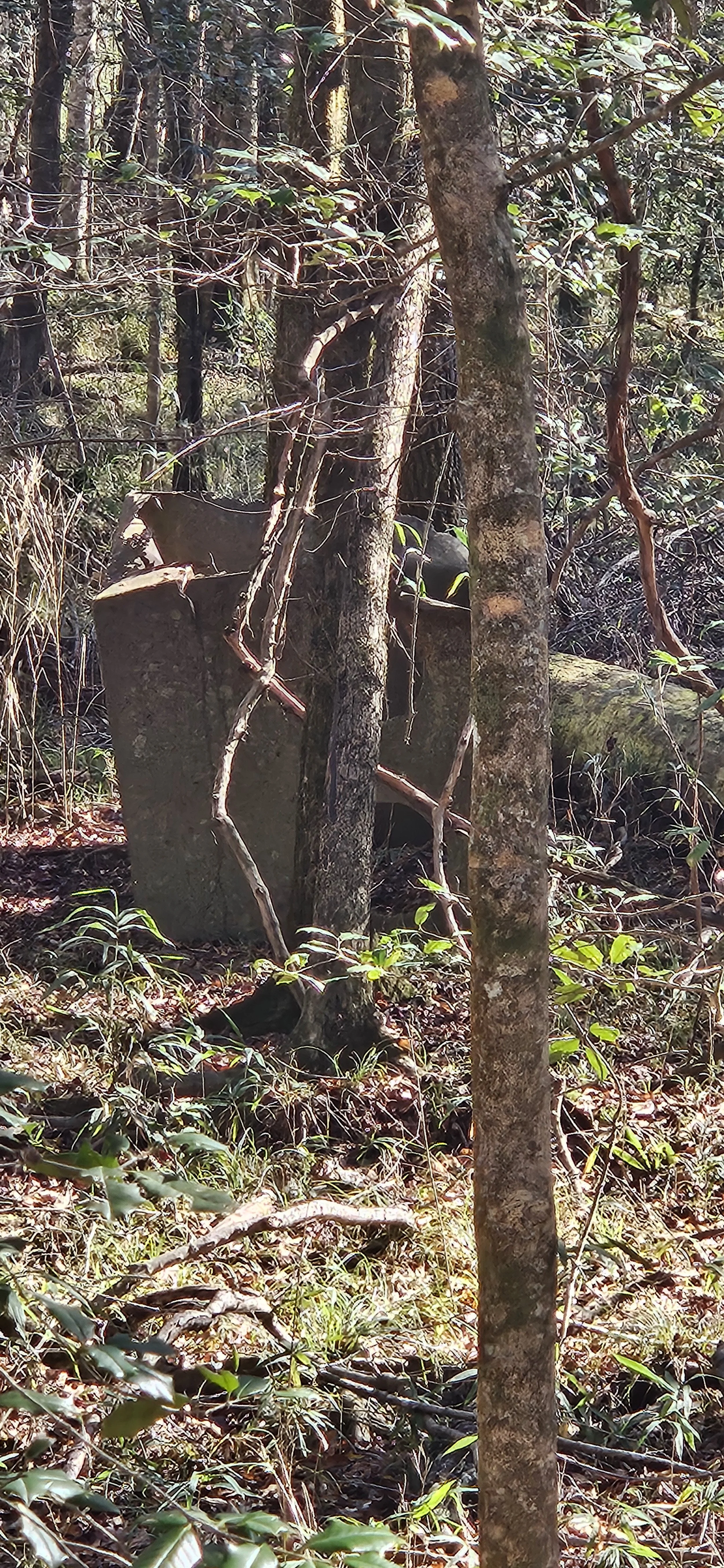 20231212_124321.jpg