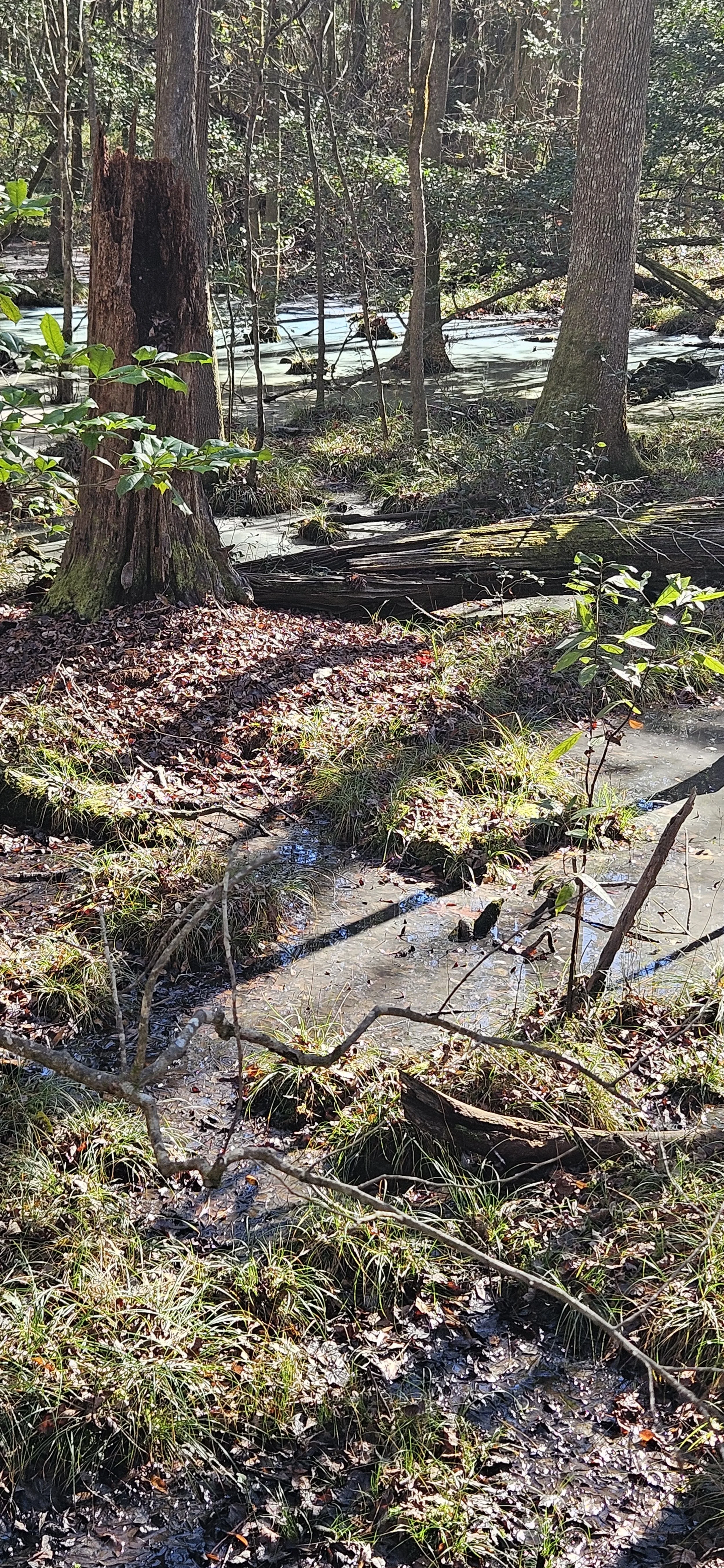 20231212_125550.jpg